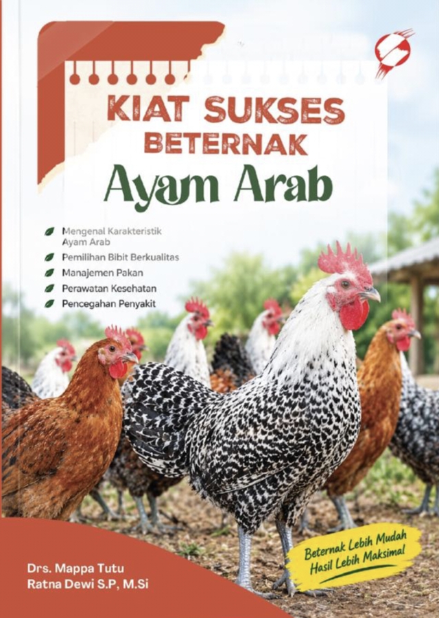 Kiat Sukses Beternak Ayam Arab